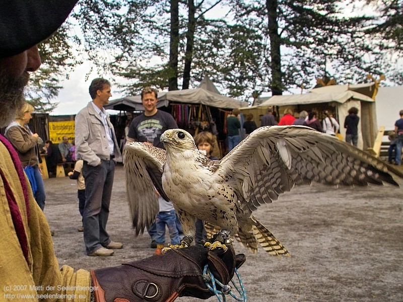 Bild 800px x 600px 72DPI