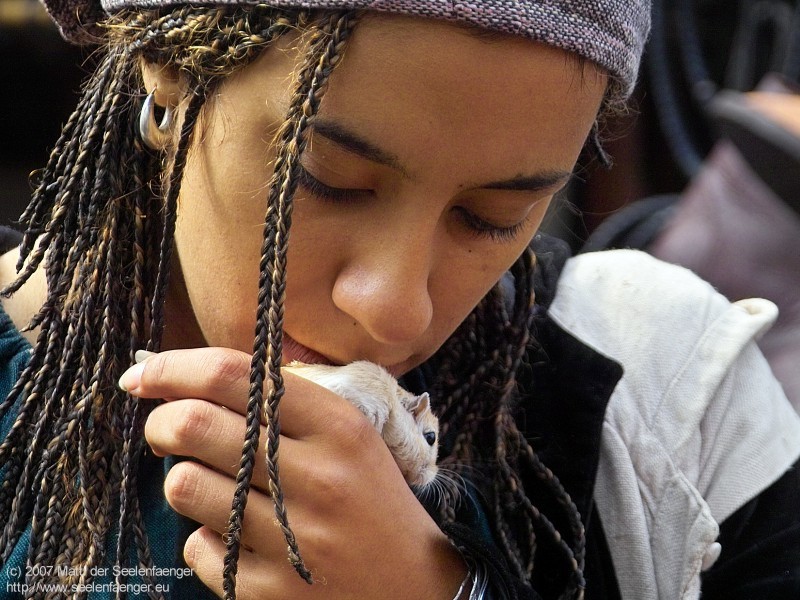 Bild 800px x 600px 72DPI