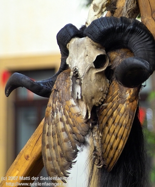 Bild 800px x 600px 72DPI