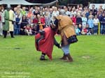 Vorschau-Miniaturbilder