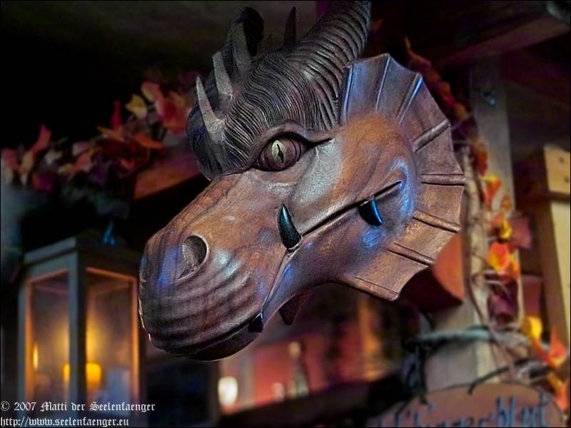 Bild 800px x 600px 72DPI